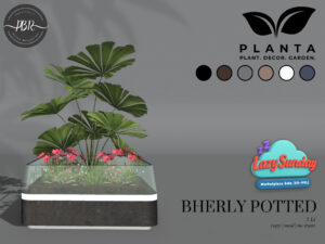 Planta