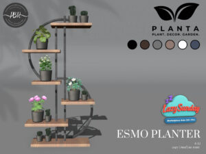 Planta