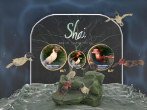 Shai