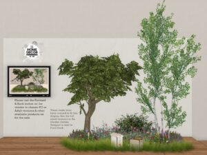 Urban Roots