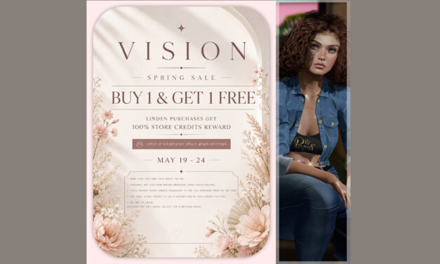 Vision Buy One Get One Free Spring Sale for Group Members