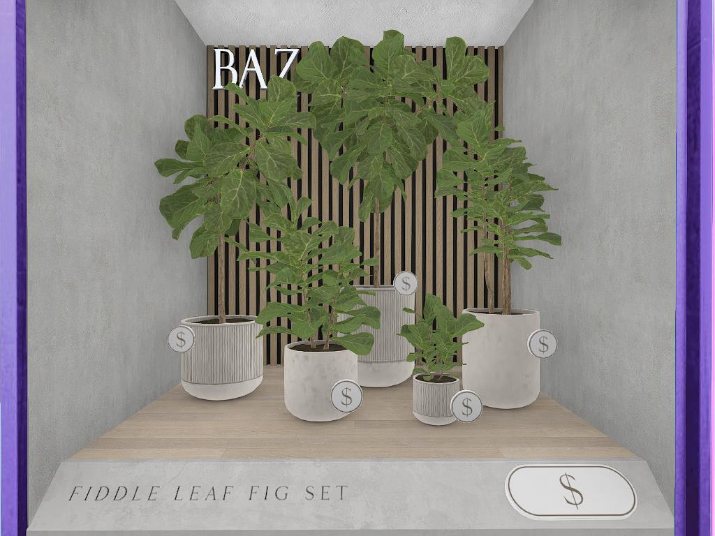 Bazar