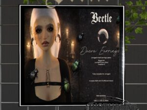 Beetle