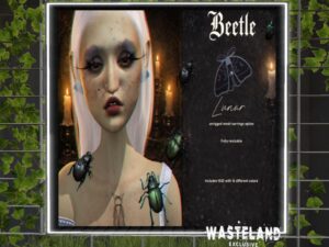 Beetle