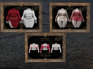 C.Y. Fashion