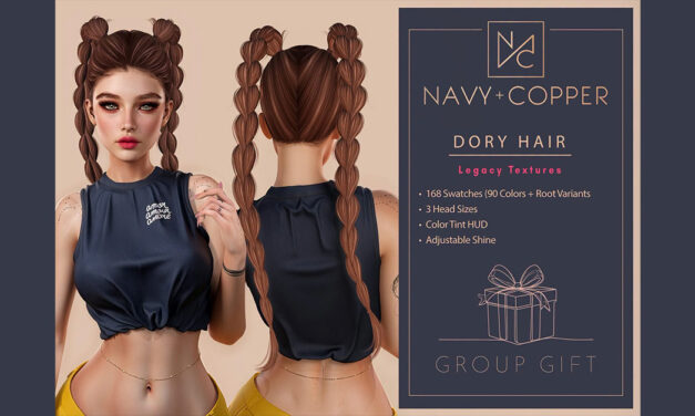 Navy+Copper Group Gift – Dory Hair