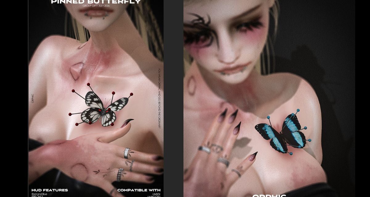 New Group Gift Pinned Butterfly at Orphic