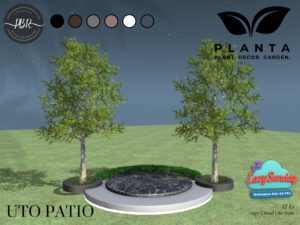Planta