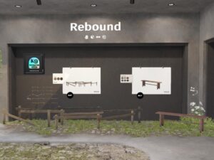 Rebound