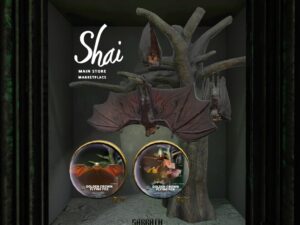 Shai