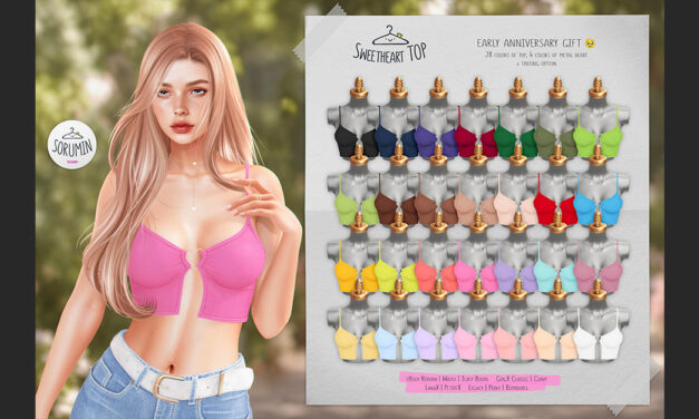 Group Gift Sweetheart Top at Sorumin