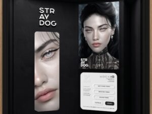 Stray Dog