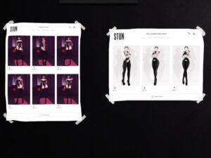 Stun Poses