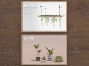 Woon