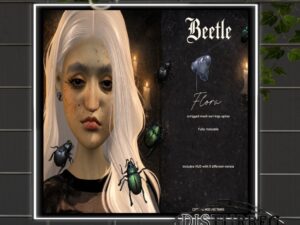 Beetle
