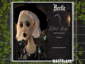 Beetle