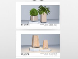 Bonaire Architects