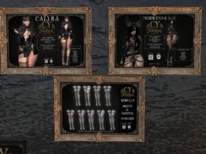 C.Y. Fashion