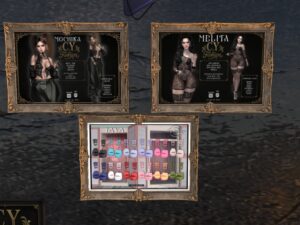 C.Y. Fashion