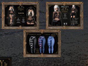 C.Y. Fashion