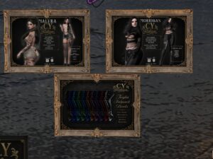 C.Y. Fashion
