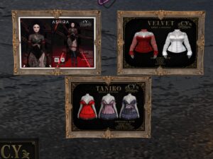 C.Y. Fashion