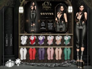 C.Y. Fashion