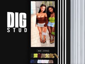 Diggo Studios