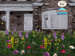 Dreamland Designs