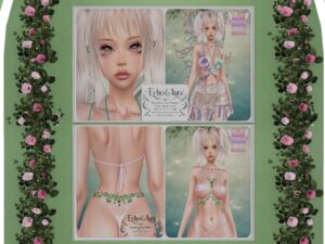 Echo & Aura