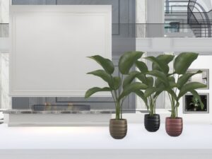Erfe Design