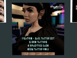 Fixation