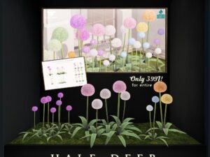Half-Deer
