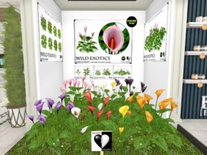 Heart Garden Center