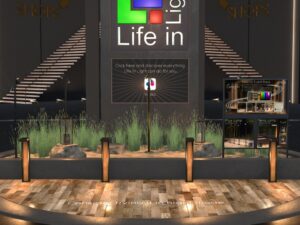 Life In Light