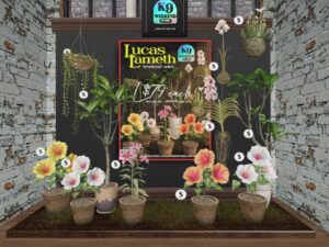 Lucas Lameth