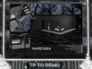Obsidian Homes