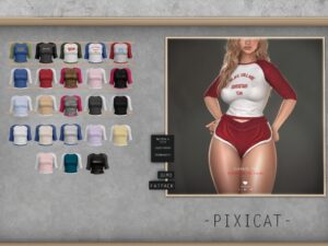 Pixicat
