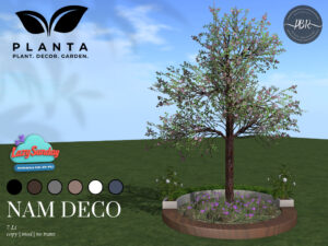 Planta