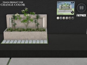 Planta