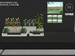 Planta