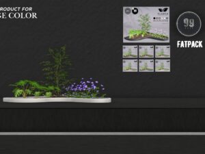 Planta