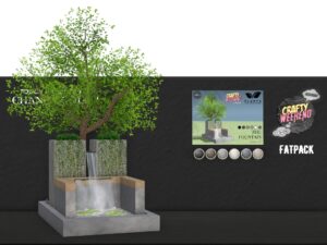 Planta