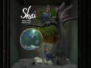 Shai