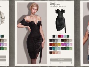 Shoplifter