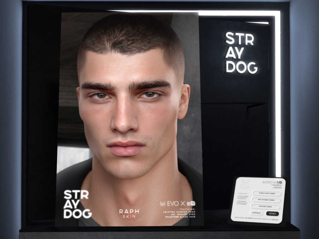 Stray Dog