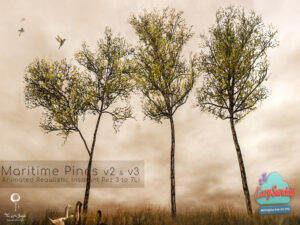 The Little Branch
