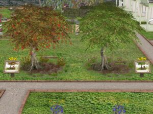 Two Moon Gardens