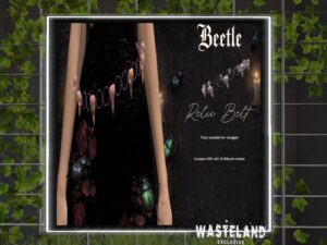 Beetle