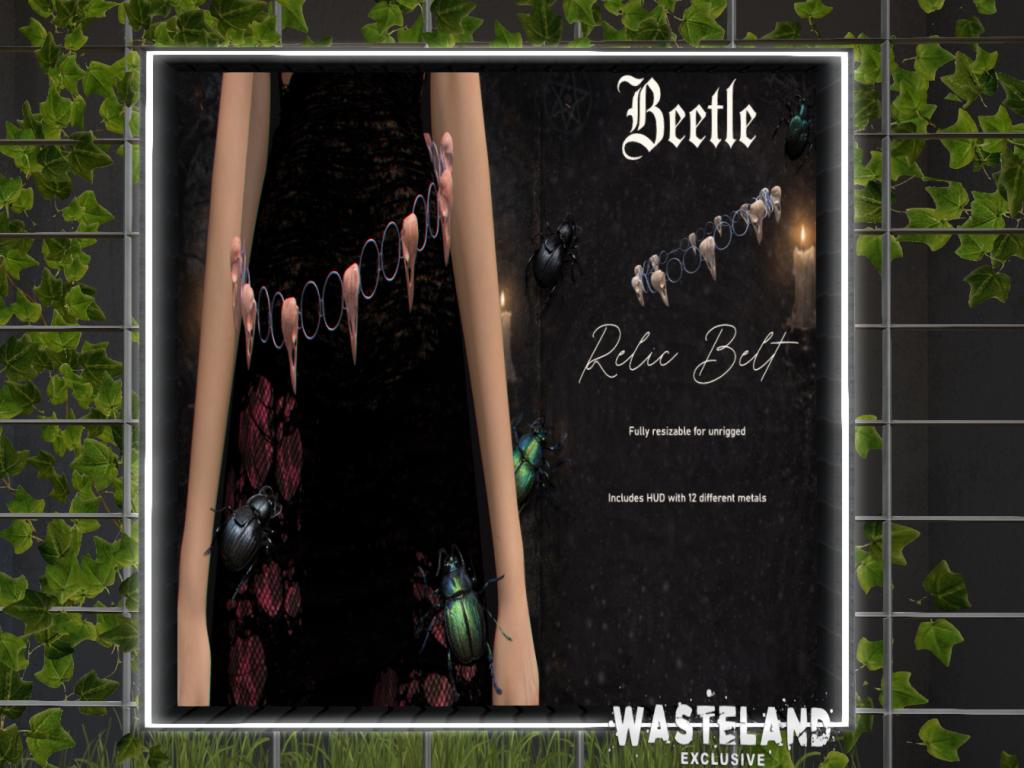 Beetle